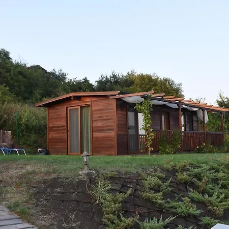 Viridi * 索佐波尔