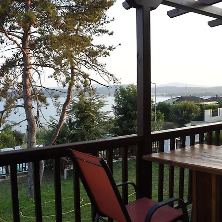 Viridi * 索佐波尔